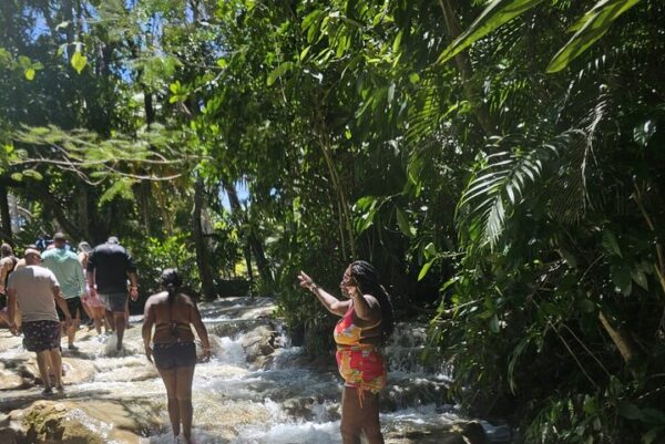 Private Dunn’s River Falls, Ocho Rios Sightseeing and Shopping - Image 25