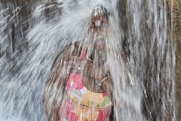 Private Dunn’s River Falls, Ocho Rios Sightseeing and Shopping - Image 23