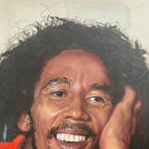 Bob Marley Reggae and Cultural Tour from Ocho Rios & Falmouth