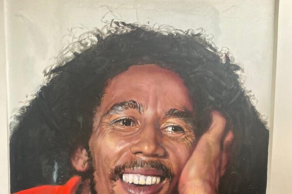 Bob Marley Reggae and Cultural Tour from Ocho Rios & Falmouth