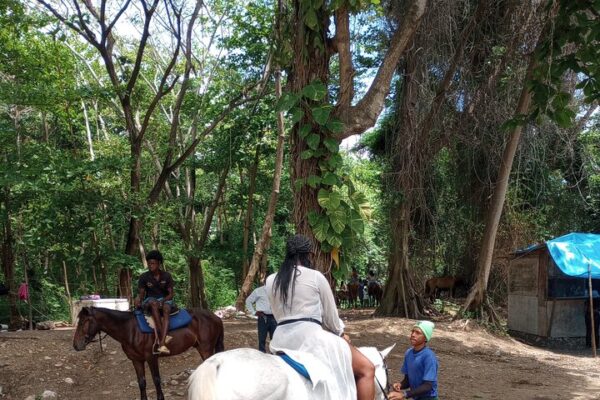 Horseback Riding, Blue Hole or Dunn's River Combo - Image 27