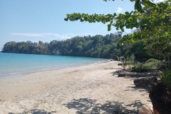 Horseback Riding, Blue Hole or Dunn's River Combo - Image 26