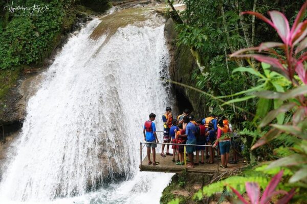 Horseback Riding, Blue Hole or Dunn's River Combo - Image 10