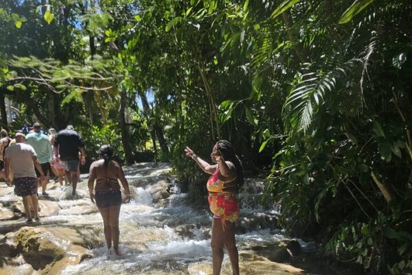 Dunn’s River Falls and Ocho Rios Sightseeing with Shopping - Image 9