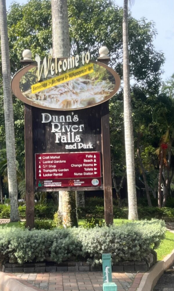 Private Dunn’s River Falls, Ocho Rios Sightseeing and Shopping - Image 9