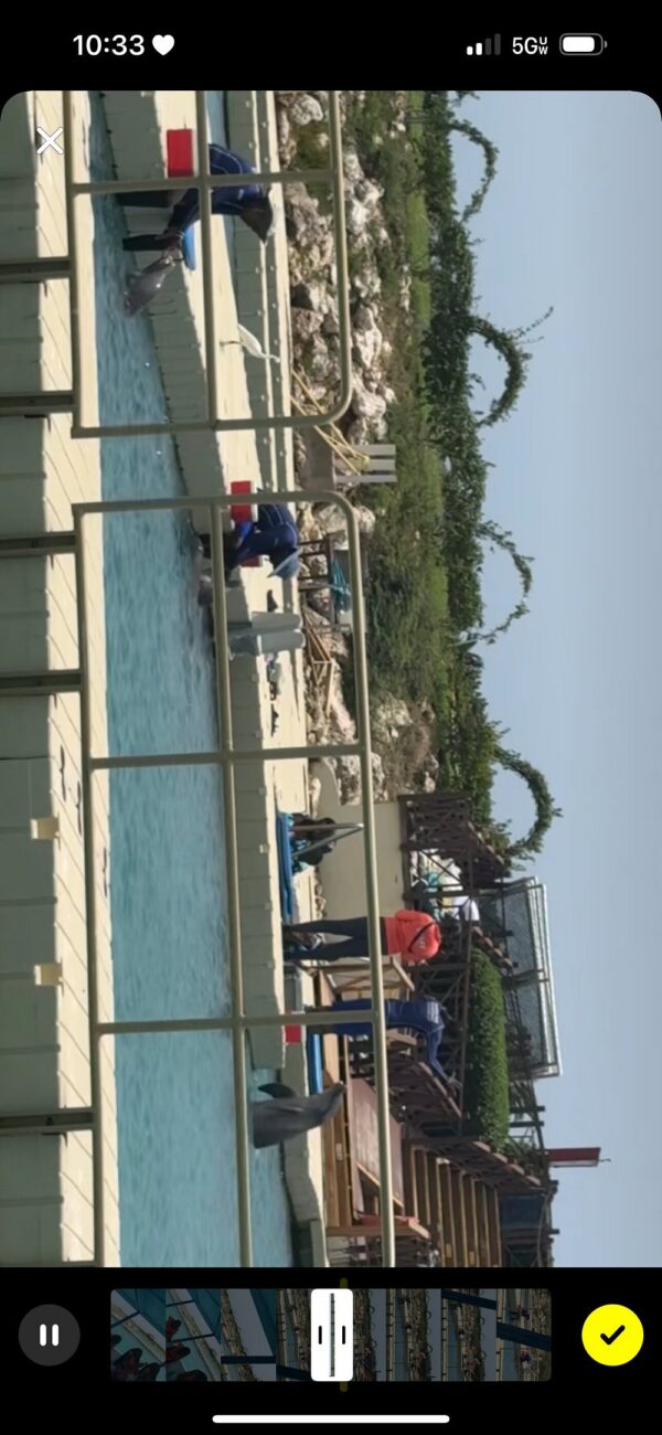 Private Airport Transfer from Ocho Rios - Image 2