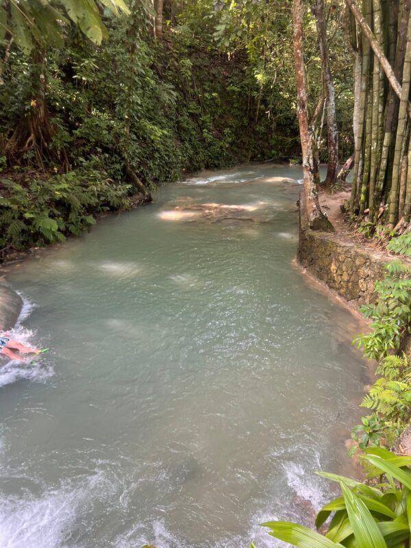 Private Dunn’s River Falls, Ocho Rios Sightseeing and Shopping - Image 5
