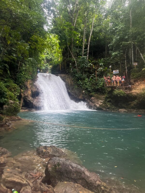 Private Dunn’s River Falls, Ocho Rios Sightseeing and Shopping - Image 4