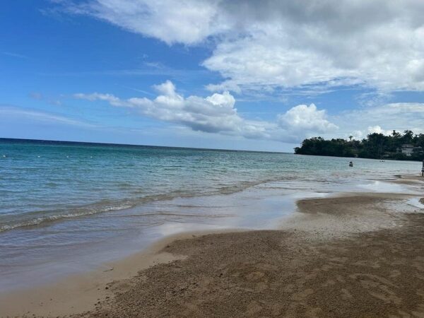 Private Dunn’s River Falls, Ocho Rios Sightseeing and Shopping - Image 17