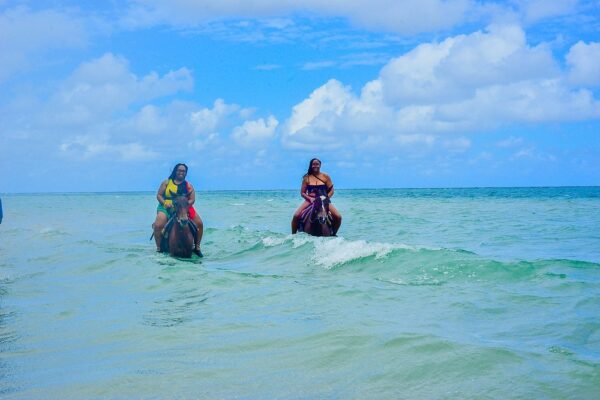 Horseback Riding, Blue Hole or Dunn's River Combo - Image 4