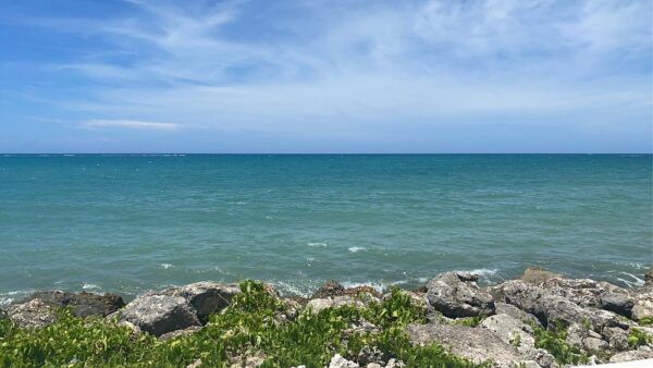 Private Airport Transfer from Ocho Rios - Image 7