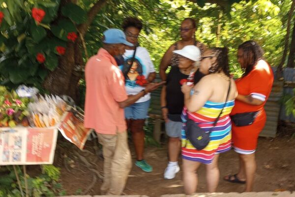 Private Dunn’s River Falls, Ocho Rios Sightseeing and Shopping - Image 31