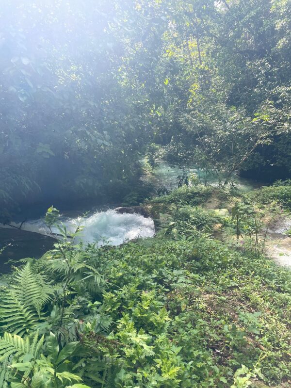 Private Transport to River Tubing or Rafting and Blue Hole Combo - Image 17