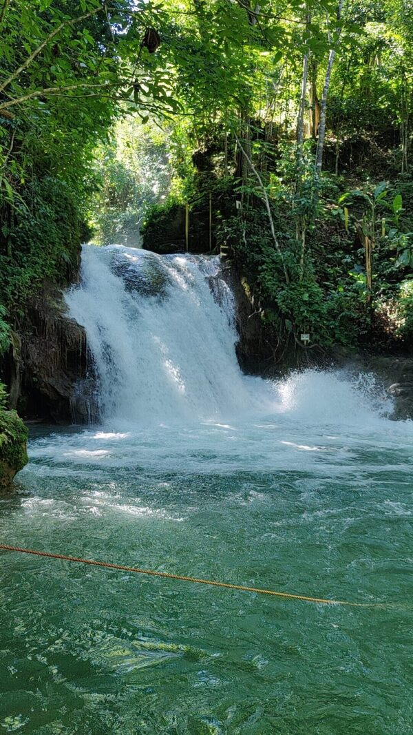Private Transport to River Tubing or Rafting and Blue Hole Combo - Image 10